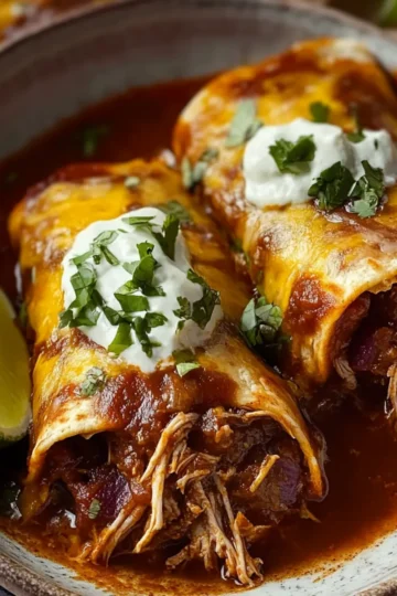 Birria Enchiladas